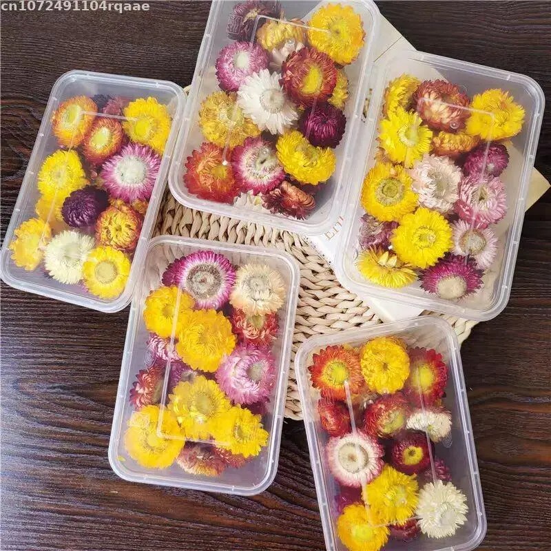 ดอกไม้แห้งธรรมชาติ 100% บรัคเท - Candle Making Material Wholesale บทวิจารณ์และราคา