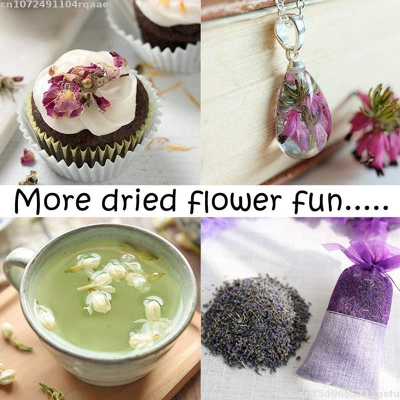 ดอกไม้แห้งธรรมชาติ 100% บรัคเท - Candle Making Material Wholesale บทวิจารณ์และราคา