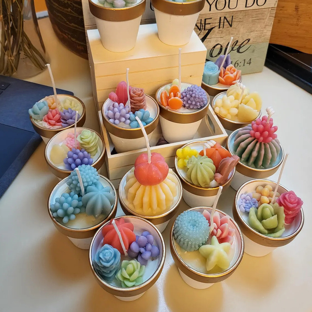 6pcs Succulent ซิลิโคนเทียนแม่ - Candle Making Reno บทวิจารณ์และราคา